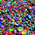 Vibrant Colorful Carpet of Colored Seashells Photograph by Kathy Anselmo Vibrant Colorful Carpet of Colored Seashells Photograph by Kathy Anselmo