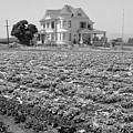 Victorian Farm House 4th of July Watsonville California Photograph by Kathy Anselmo Victorian Farm House 4th of July Watsonville California Photograph by Kathy Anselmo