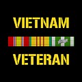 Vietnam Veteran Ribbon Bar Digital Art by War Is Hell Store Vietnam Veteran Ribbon Bar Digital Art by War Is Hell Store