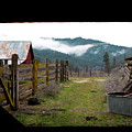 View From a Barn Photograph by Lorraine Devon Wilke View From a Barn Photograph by Lorraine Devon Wilke