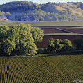 View from Waterman South by Bruce Morrison View from Waterman South by Bruce Morrison