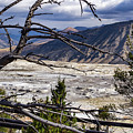 View of the travertine and mountains from the pathway at Mammoth Hot Springs Photograph by Roslyn Wilkins View of the travertine and mountains from the pathway at Mammoth Hot Springs Photograph by Roslyn Wilkins