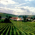 Village In The Vineyards of France by Nancy Mueller Village In The Vineyards of France by Nancy Mueller