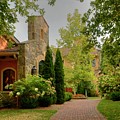 Vineyard Photograph by Ann Bridges Vineyard Photograph by Ann Bridges