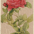 Vintage Burlap Floral Painting by Debbie DeWitt Vintage Burlap Floral Painting by Debbie DeWitt