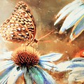 Vintage Butterfly Print Photograph by Tina LeCour Vintage Butterfly Print Photograph by Tina LeCour