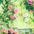 Vintage Camellias I Postcards by Marianne Campolongo