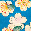 Vintage Japanese illustration of dogwood blossoms Painting by Japanese School Vintage Japanese illustration of dogwood blossoms Painting by Japanese School
