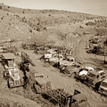 Vintage Truck yard Photograph by Darrell Foster Vintage Truck yard Photograph by Darrell Foster