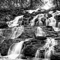 Vogel State Park Waterfall Photograph by Anna Rumiantseva Vogel State Park Waterfall Photograph by Anna Rumiantseva