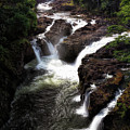 Wainaku Street Falls Photograph by Susan Rissi Tregoning Wainaku Street Falls Photograph by Susan Rissi Tregoning