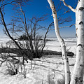 Waiting for Spring Photograph by Doug Gibbons Waiting for Spring Photograph by Doug Gibbons