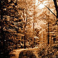 Waiting For Spring by Lori Tambakis Waiting For Spring by Lori Tambakis
