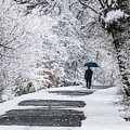 Walk in the Woods in the Snow, Gaithersburg Photograph by Thomas Marchessault Walk in the Woods in the Snow, Gaithersburg Photograph by Thomas Marchessault
