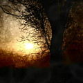 Walk Quietly Into the Night with Me. Photograph by Julie Lueders Walk Quietly Into the Night with Me. Photograph by Julie Lueders