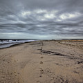 Walk The Line by Evelina Kremsdorf Walk The Line by Evelina Kremsdorf