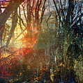 Walking at Dawn Digital Art by Linda Carruth Walking at Dawn Digital Art by Linda Carruth
