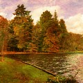 Walking The Forest Trail by the lake Photograph by Stacie Siemsen Walking The Forest Trail by the lake Photograph by Stacie Siemsen