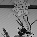 Wall Surfing With A Snow Flake by Rob Hans Wall Surfing With A Snow Flake by Rob Hans