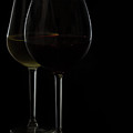 Want Some Wine? Photograph by Anastasy Yarmolovich Want Some Wine? Photograph by Anastasy Yarmolovich