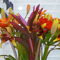 Warm Colored Flowers by Elly Potamianos