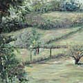 Washday in Provence by Nadine Rippelmeyer Washday in Provence by Nadine Rippelmeyer