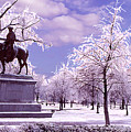 Washington Square Park by Steve Karol Washington Square Park by Steve Karol