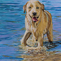 Water Dog Painting by Jackie MacNair Water Dog Painting by Jackie MacNair