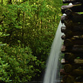 Water From The Flume by Pat Turner Water From The Flume by Pat Turner