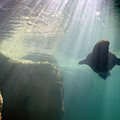 Water World Photograph by DArcy Evans Water World Photograph by DArcy Evans