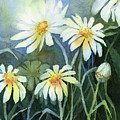 Daisies Flowers Painting by Olga Shvartsur Daisies Flowers Painting by Olga Shvartsur