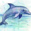 Watercolor Dolphin Painting - Facing Right Painting by Olga Shvartsur Watercolor Dolphin Painting - Facing Right Painting by Olga Shvartsur