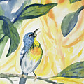 Watercolor - Northern Parula in Song Painting by Cascade Colors Watercolor - Northern Parula in Song Painting by Cascade Colors