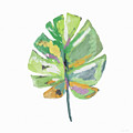 Watercolor Palm Leaf- Art by Linda Woods Mixed Media by Linda Woods Watercolor Palm Leaf- Art by Linda Woods Mixed Media by Linda Woods
