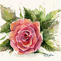 Watercolor Rose Painting by Olga Shvartsur Watercolor Rose Painting by Olga Shvartsur