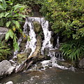 Waterfall Photograph by Amy Fose Waterfall Photograph by Amy Fose