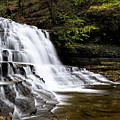 Waterfall Cascade Salt Springs State Park Photograph by Christina Rollo Waterfall Cascade Salt Springs State Park Photograph by Christina Rollo