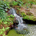 Waterfall In The Forest by Marian Bell Waterfall In The Forest by Marian Bell