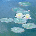 Waterlilies Evening Painting by Claude Monet Waterlilies Evening Painting by Claude Monet