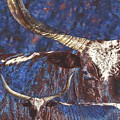 Watusi Blues Photograph by Amanda Smith Watusi Blues Photograph by Amanda Smith