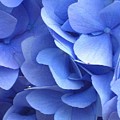 Waves Of Blue by Marla McFall Waves Of Blue by Marla McFall