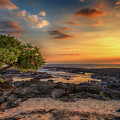 Wawaloli Beach Sunset Photograph by Susan Rissi Tregoning Wawaloli Beach Sunset Photograph by Susan Rissi Tregoning