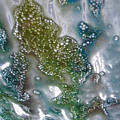 Wax On by Luciana Seymour Wax On by Luciana Seymour