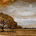 Weathered Digital Art by Az Jackson
