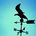 Weathervane in Summer Blues by Colleen Cornelius Weathervane in Summer Blues by Colleen Cornelius