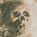 Webs And Dead Heads by Jorgo Photography - Wall Art Gallery Webs And Dead Heads by Jorgo Photography - Wall Art Gallery