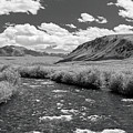 West Fork, Big Lost River Photograph by Mark Mille West Fork, Big Lost River Photograph by Mark Mille
