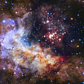 Westerlund 2 - Hubble 25th Anniversary Image by Adam Romanowicz Westerlund 2 - Hubble 25th Anniversary Image by Adam Romanowicz
