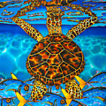West Indian Hawksbill Sea Turtle Painting by Daniel Jean-Baptiste West Indian Hawksbill Sea Turtle Painting by Daniel Jean-Baptiste