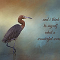 What A Wonderful World by Kim Hojnacki What A Wonderful World by Kim Hojnacki
